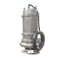 Submersible sea water marine electric pumps